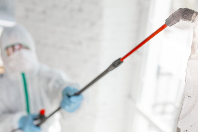 Mould Removal Company Sydney