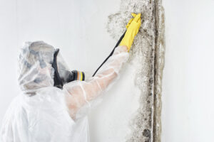 Mould fogging treatment Sydney