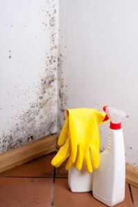 Mould Cleaning Services Sydney