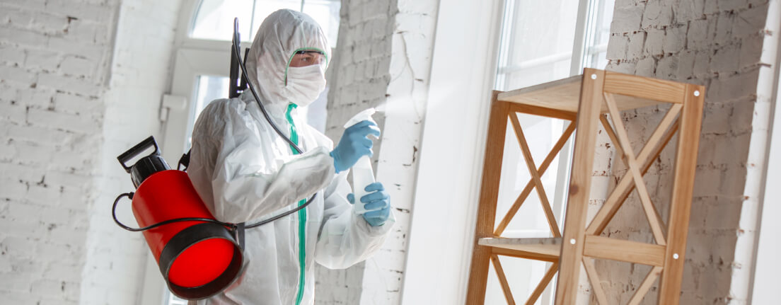 mould testing & inspections Sydney.