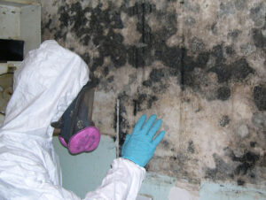 mould removal Penrith