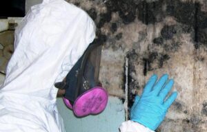 professional mould testing in Sydney,