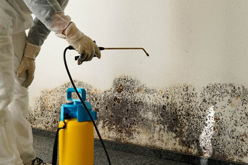 Mould treatment Sydney