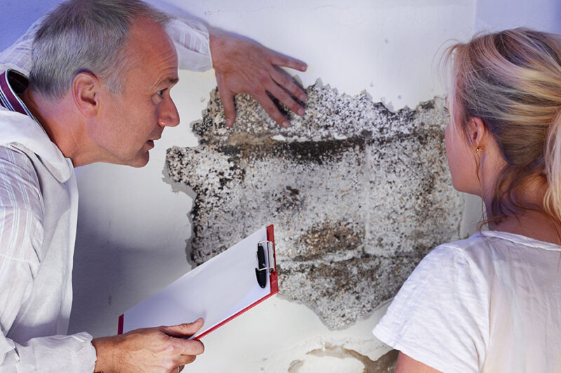 Sydney Mould Specialists